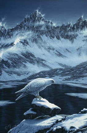 Framed In The Land Of Ice And Snow Print