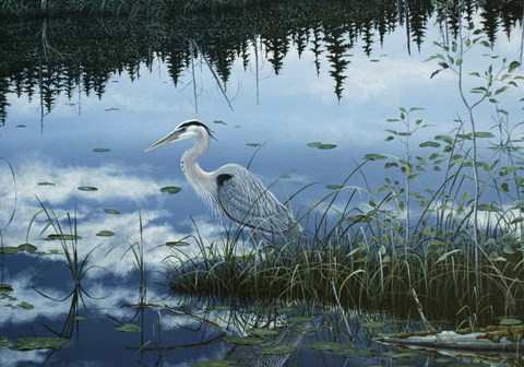 Framed Blue Reflections Print