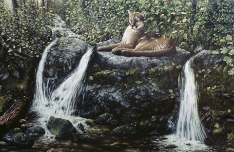 Framed Solitude Print