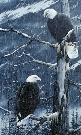 Framed Another Rainy Day Print