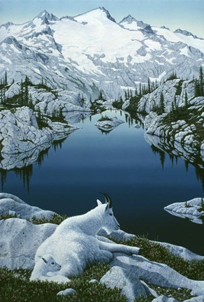 Framed Casade Summer Print