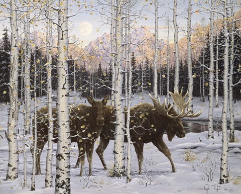 Framed Forest Twilight Print