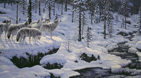 Framed Winter's Cry Print