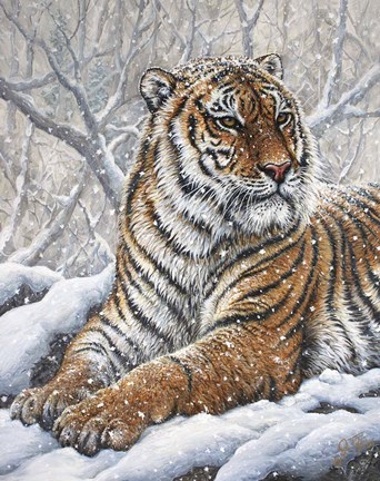 Framed Power And Grace Print