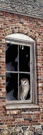 Framed Look Out Print