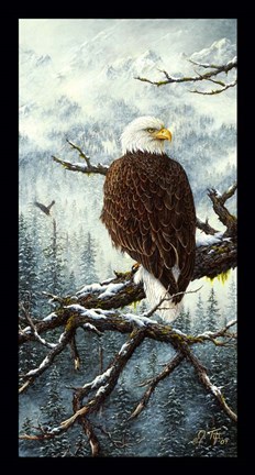 Framed Eagle Rest Print