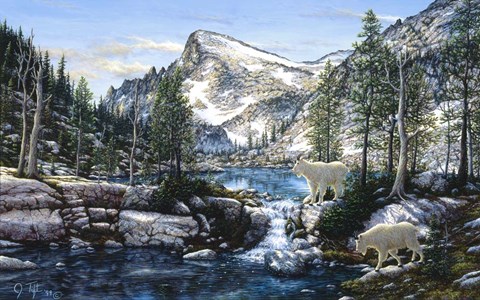 Framed Summer In The Enchantments Print
