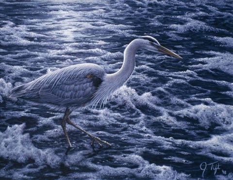 Framed Evening Blues Print