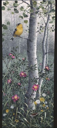 Framed Shades Of Summer Print