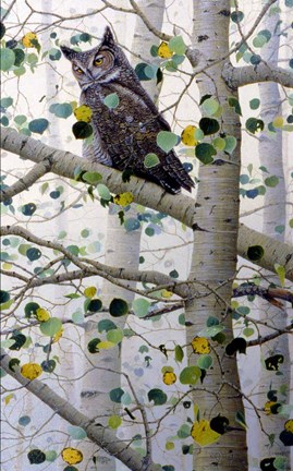 Framed Misty Aspen Print