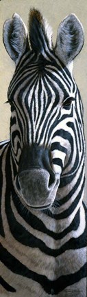 Framed Zebra Print