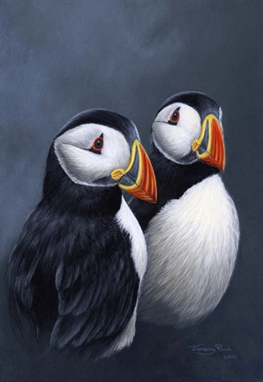 Framed Puffins Print