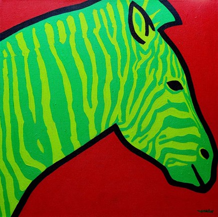 Framed Irish Zebra Print