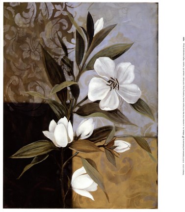 Framed Soft Floral I Print