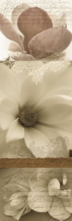 Framed Fantasy Magnolias II Print