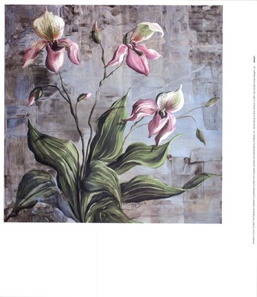 Framed Orchid Study In Pink Print