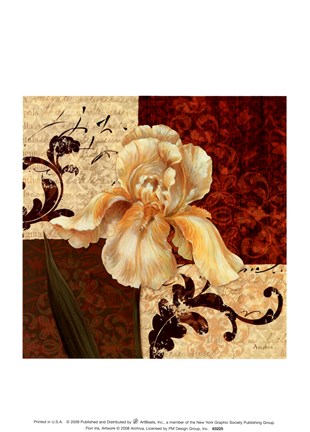 Framed Fiori Iris Print