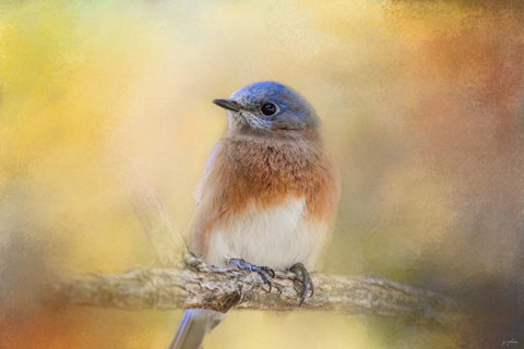 Framed Autumn&#39;s Treasure Print