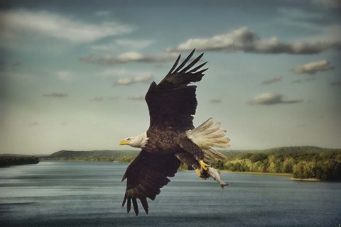 Framed Catch Of The Day Print