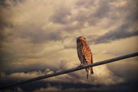 Framed End Of The Day Print