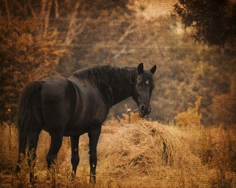 Framed Horse And The Haystack Print
