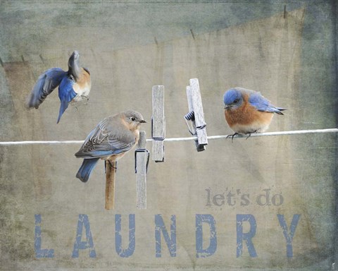 Framed Laundry Day Bluebirds Print