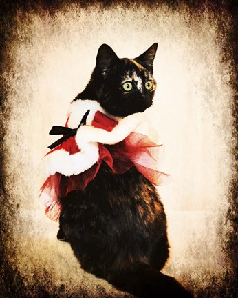 Framed Vintage Christmas Kitten Print