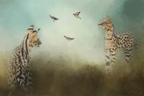 Framed Watching The Waxwings Print