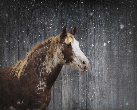 Framed Winters Arrival Horse Print