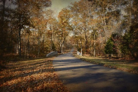 Framed Joyful Place Print