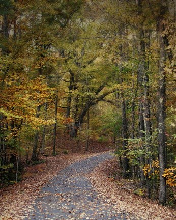Framed Autumn Passage 5 Print