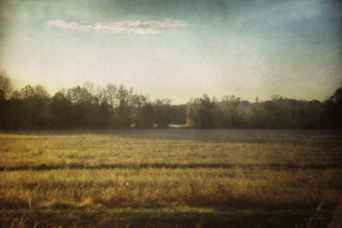 Framed Break In The Trees Print