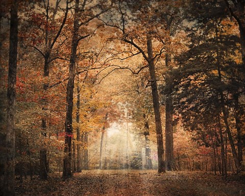 Framed Clearing Print