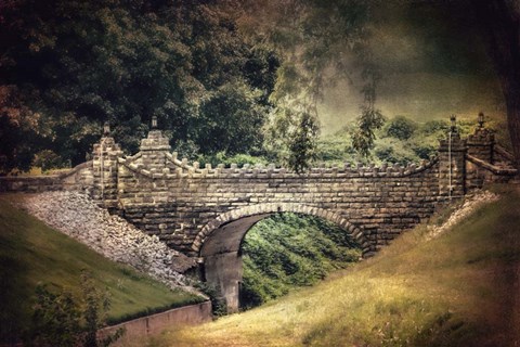 Framed Crossing Over Print