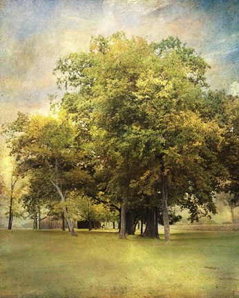 Framed Divinity Print