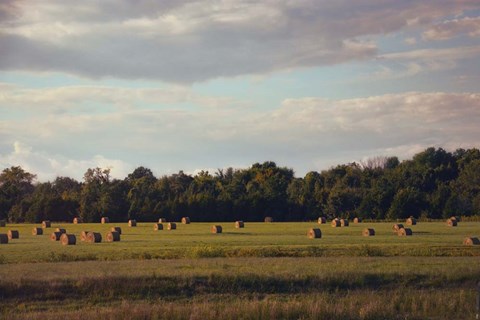 Framed Facing The Sun Print