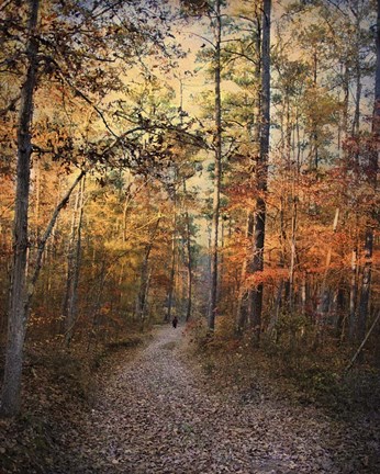 Framed Journey Within Print