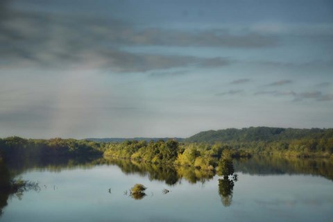 Framed Morning Reflection Print