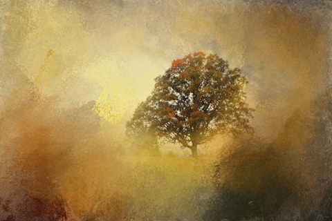 Framed Splendor Print