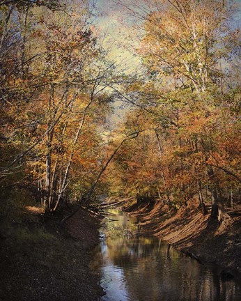 Framed Upstream Print