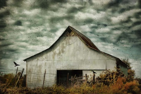 Framed Where The Crows Roost In Autumn Print