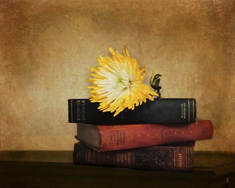 Framed Classics Print