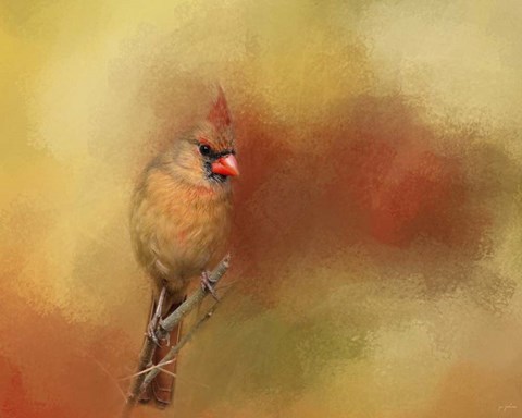 Framed Backyard Jewel Print