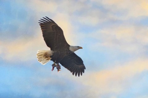 Framed Bringing In The Leftovers Print