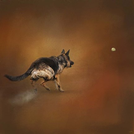 Framed Gimme That Ball German Shepherd Print