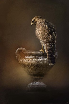 Framed Sacred Moment Print