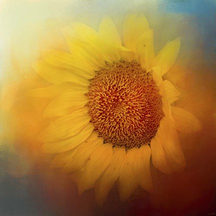 Framed Sunflower Surprise Print