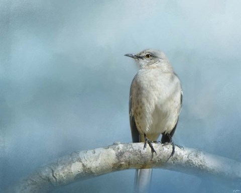 Framed Good Winter Morning Print