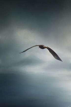 Framed Through The Rolling Storm Bald Eagle Print