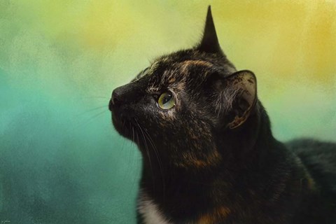 Framed By The Light Of The Sea Print